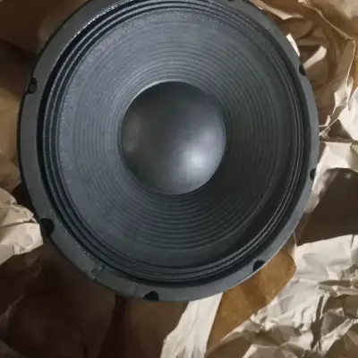 B ＆CスピーカーNA LLC 12PS100 12インチ1400ワット連続サブウーファー8オーム : B \u0026 C SPEAKERS NA LLC 12PS100 12 Inch 1400 Watt