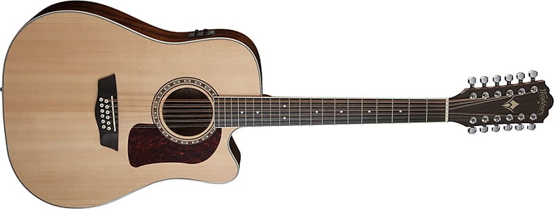 Washburn D10SCE-12 | 12-String Dreadnought Acoustic / Electric Guitar. New with Full Warranty! image 1