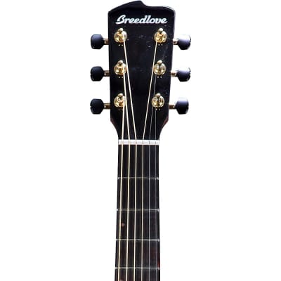 Breedlove Organic Performer Pro CE Spruce-African Mahogany Concerto Acoustic-Electric Guitar Natural image 5
