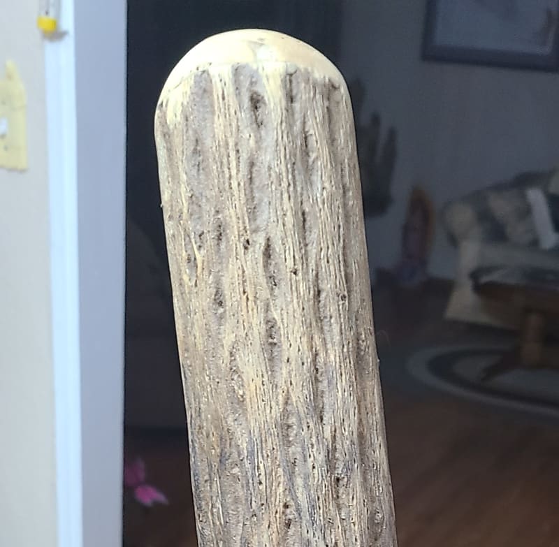 Handmade Rainstick Cactus Reverb