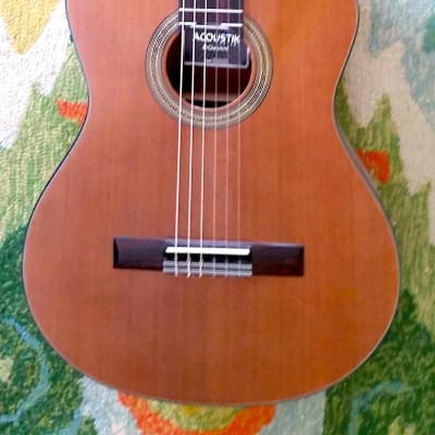 Giannini Classical  Acoustic / Electric Cut-a-way image 1