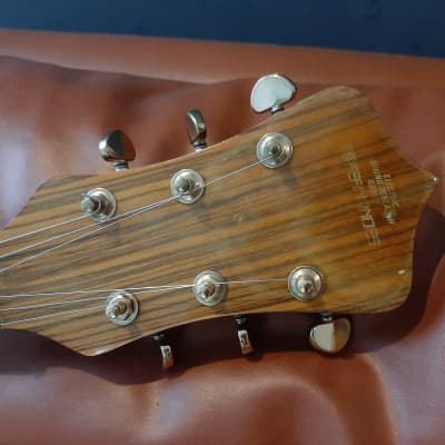 Fernandes FAG-170 Alembic Copy 1980s Natural, FREE Worldwide