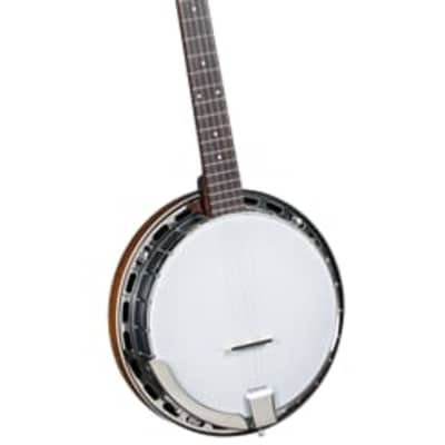 Rover 5 String Resonstor Banjo, Cloed Back image 1