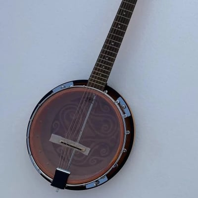 Luna Custom 6 String Banjo Acoustic BGB CEL 6 Satin Finished for sale