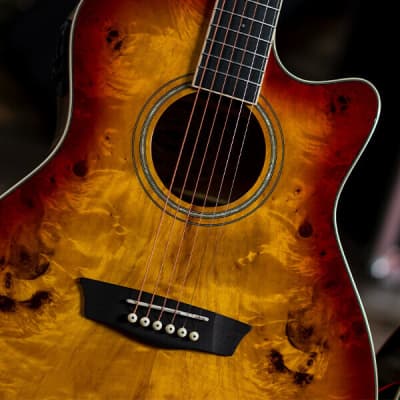 Washburn DFBACEA | Deep Forest Burl Grand Auditorium Ac / El Guitar, Amber Fade. New with Full Warranty! image 14