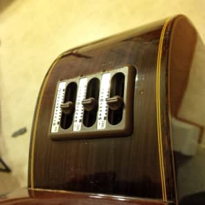 Takamine E30 1989 Acoustic Electric Classical Nylon Vintage Natural image 2