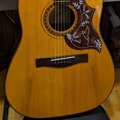 Giannini GS570 Dreadnought Acoustic Guitar 1970 for sale