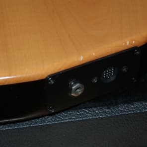 Godin ACS-SA Nylon String Acoustic-Elec Maple/Mohogany Back,sides and neck 1999 signature copy image 16