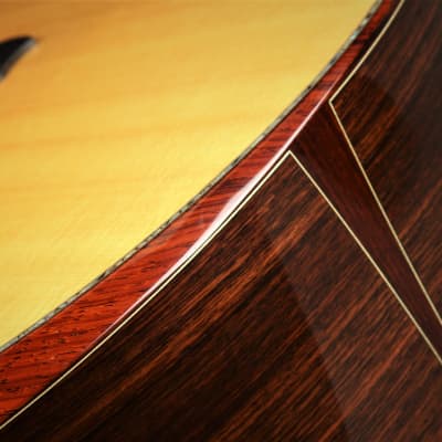 Ryan Cathedral Grand Fingerstyle - Sitka Spruce & Indian Rosewood 2003 *VIDEO* image 22