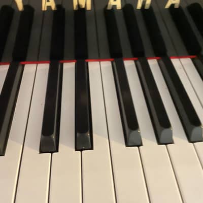 Baby grand piano Yamaha, model C3, 6’ image 5
