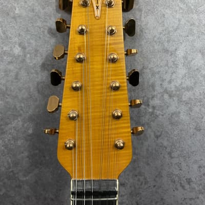 Burns Double 6 Limited Edition Apache 12 String image 6