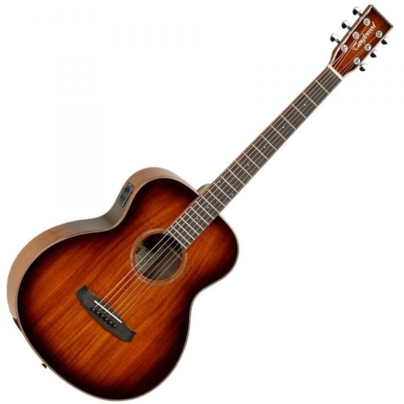 Ibanez FRH10NNTF FRH Thin-Body Nylon String Acoustic/Electric Guitar, –  Easy Music Center