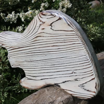 Jazz Bass body, "barncaster" image 10