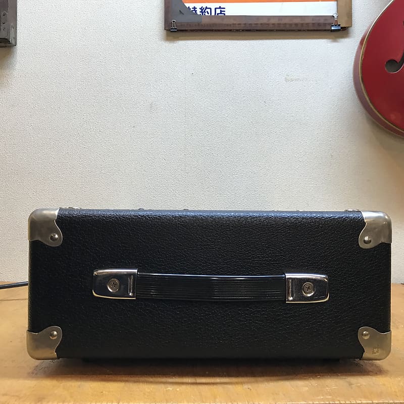 Loud and proud Acoustic B120 Bass head with EQ and limiter