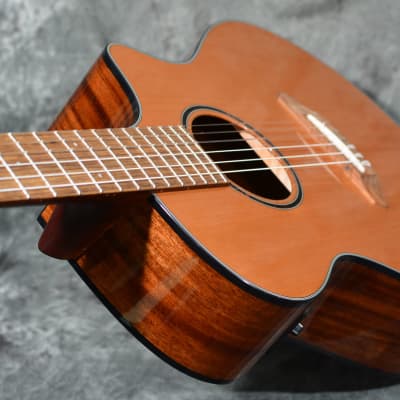 Breedlove Discovery S Concert Nylon CE Red Cedar w/ FREE Same Day Shipping image 5