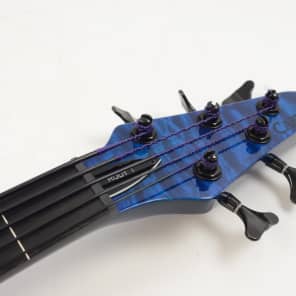 Carvin AC-50 5 String Fretless Acoustic-Electric Bass Guitar