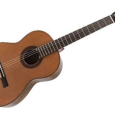 Raimundo STUDIO 120 chitarra classica elettrificata for sale