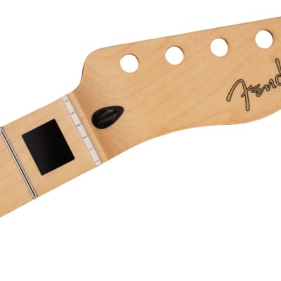 FENDER - Player Series Telecaster Neck w/Block Inlays  22 Medium Jumbo Frets  Maple - 0995252921 image 3