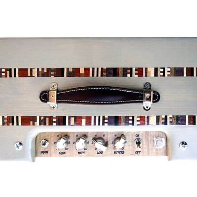 Ashen "Goldy" 8 Watts 12" Custom Handmade Tube Guitar Amp Combo Gray w/Reverb image 4