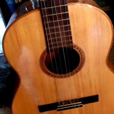GIANNINI GN-60 CLASSICAL-FOLK 1960’s-NATURAL WOODS, NEEDS TLC AND EXPERT LUTHIER'S HANDS image 2