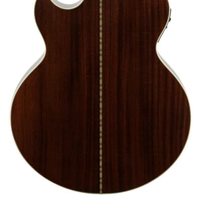 Epiphone PR5E Cutaway Acoustic Electric Guitar image 6