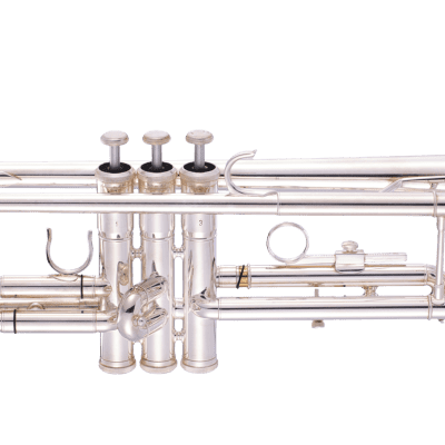 Signature Custom Series Dizzy Gillespie Style Tilt Bell Trumpet WOW