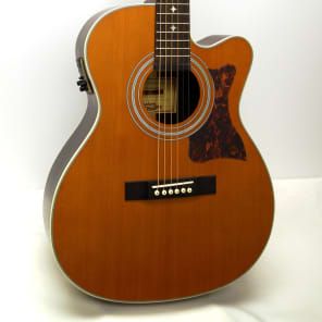 Epiphone Masterbilt EF-500RCCE Fingerstyle Acoustic-Electric