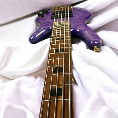 Spector USA NS-5XL, Ultra Violet Gloss w/ Pau Ferro and Haz-Lab Preamp *IN STOCK* image 9
