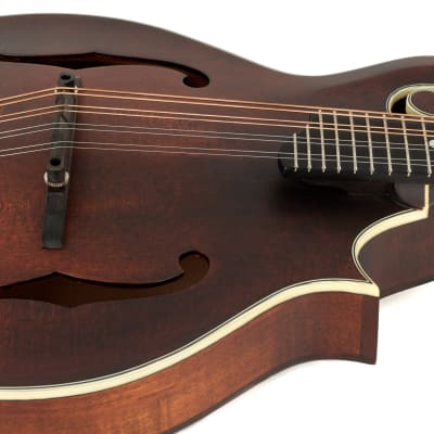 Eastman MD315 F Style Spruce & Maple Mandolin image 7