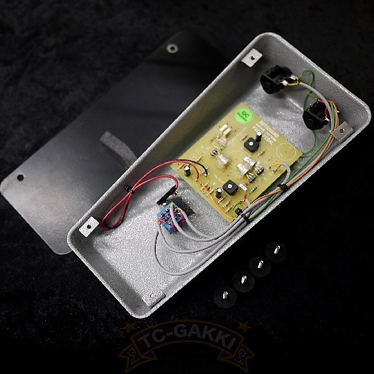 Rotosound Rfb1 Fuzz | Reverb