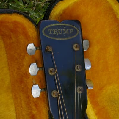 Trump Dreadnought with Vintage Case image 1