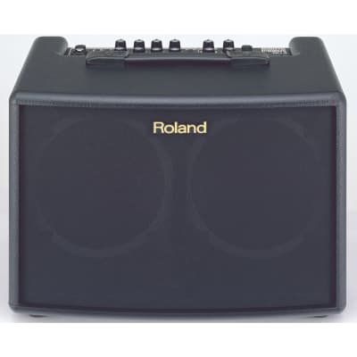 Roland AC-60 Acoustic Chorus 2-Channel 60-Watt 2x6.5