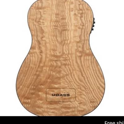 Kala Quilted Ash Acoustic-Electric Fretted U•BASS *Free Shipping in the USA* image 3