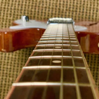 Fender Channel Bound Neck and 69 Thinline Reissue Natural image 1