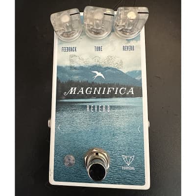 Reverb.com listing, price, conditions, and images for foxpedal-magnifica-reverb