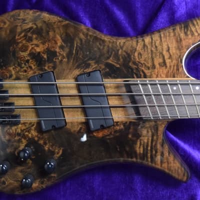 Spector NS-4H2 (NS4H2) Buckeye Burl Maple Bass Guitar with 