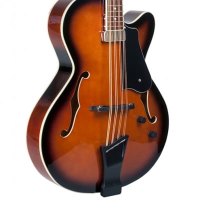 Goldtone MANDOCELLO - Guitare mandocello avec pickup (+ étui) for sale