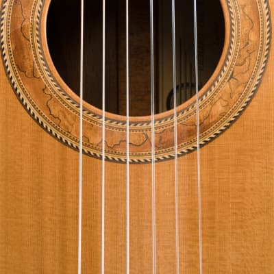 Richard Prenkert Cutaway Nylon String Guitar 2015 Natural image 6