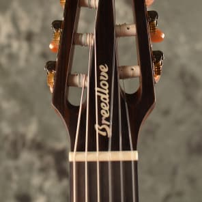 Breedlove Pursuit Nylon String Guitar. 2014 Gloss Cedar w/ Sapele Back and Sides. Delux Gigbag! image 3