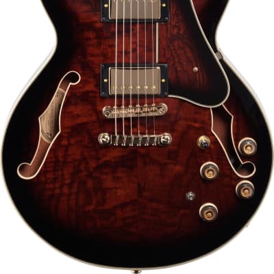 Ibanez am outlet 153