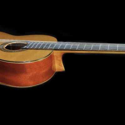 Luthier Built Torres Concert Classical Guitar - Cedar & Padauk image 5