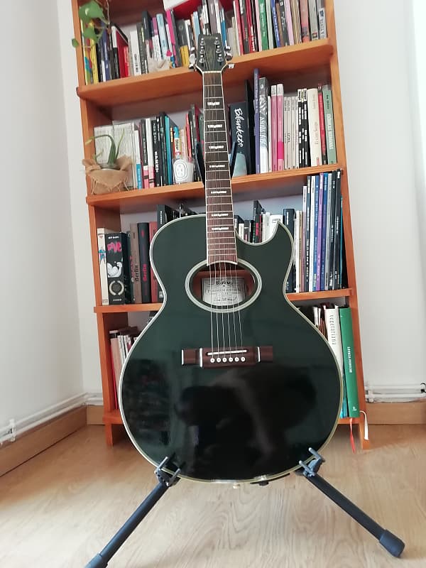 ギター Washburn EA22B PLATINUM EDITION Washburn EA22B PLATINUM EDITION