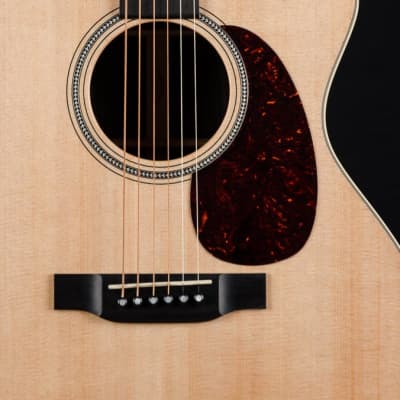 Martin GPC-16E Indian Rosewood and Sitka Spruce NEW image 6
