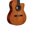 Alvarez AC65HCE Acoustic-Electric Guitar
