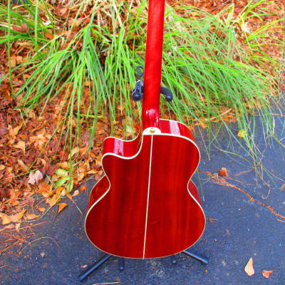 ESP LTD XAC20E  Acoustic/Electric Guitar~2011~Fuchsia~Magenta~Amazing~w/Gig Bag~Tiger Eye~XTone image 11