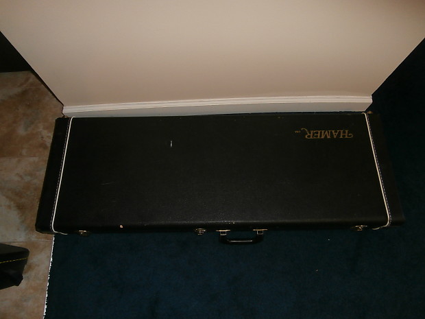 Hamer clearance guitar case