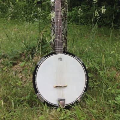 Iida 5-string Banjo Brown Wood image 1