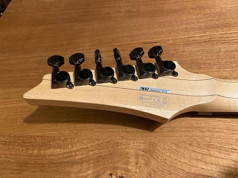 Ibanez RGD2120Z-ISH キルスイッチ付き - 楽器、器材