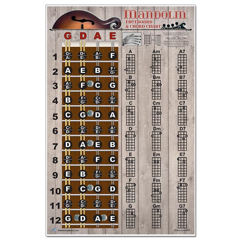 Laminated Ukulele Fretboard Notes & Easy Beginner Chord Chart 11x17  Instructional Poster for Soprano Concert Tenor Uke by A New Song Music