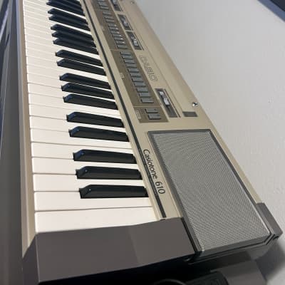 Casio CT-610 Casiotone 61-Key Synthesizer 1980s w/ FOOTSWITCH!